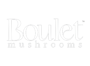 logo boulet